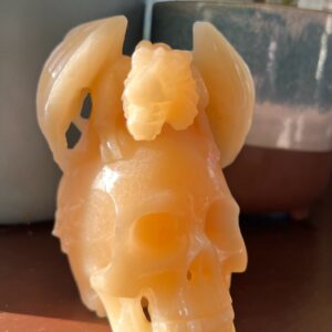 Yellow Calcite Dragon on a Skull